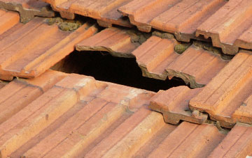 roof repair Auchnacree, Angus